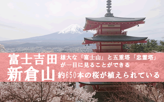 �V�q�R������