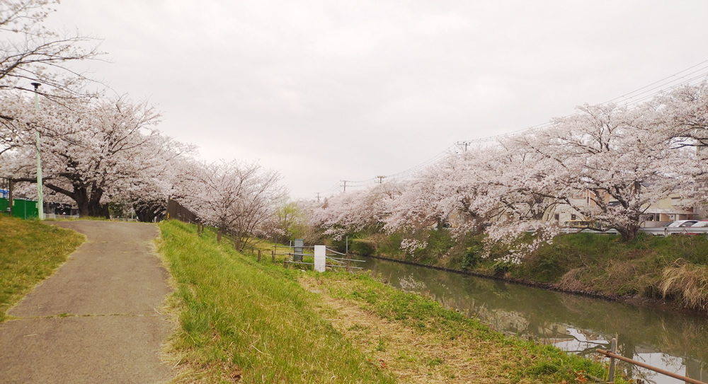 ��ߐ�����̍�