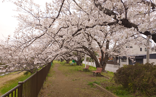 ���݂���Ã^���[����݂��