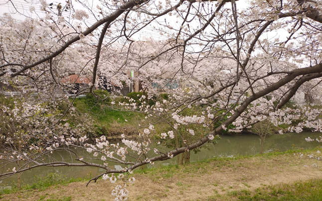 ������̃g���l��