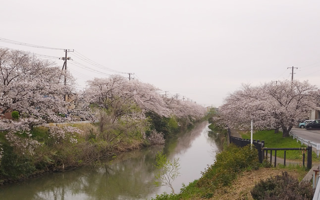 ���a���߂�����̒���