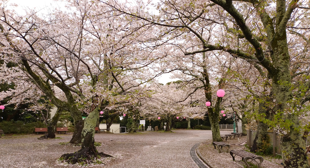 ���c�R������