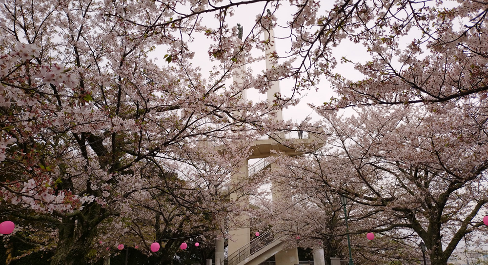 ������Ƃ��݂��炸�^���[