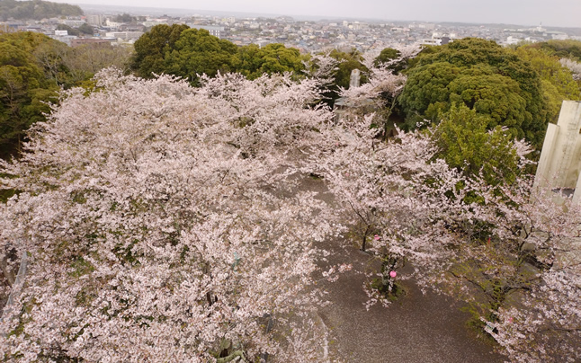 ���݂���Ã^���[����݂��