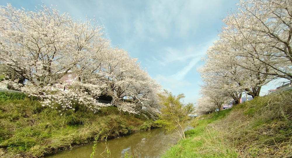 �y�艈�����猩���