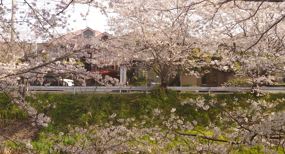 �����炫�ւ�