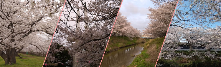 ��ߐ���@���c�R��