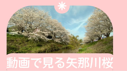 �y�肩�猩���ߐ�